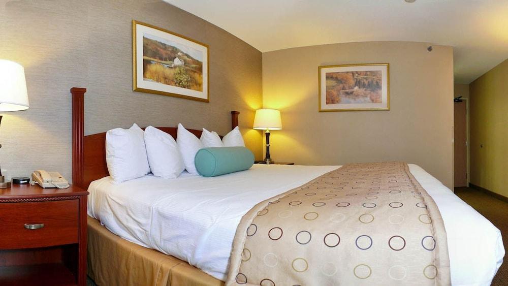 Hotel Western Airport 3*